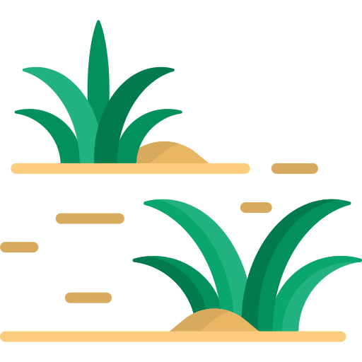 Landscape edging icon showing sharp lawn and flower bed separation.