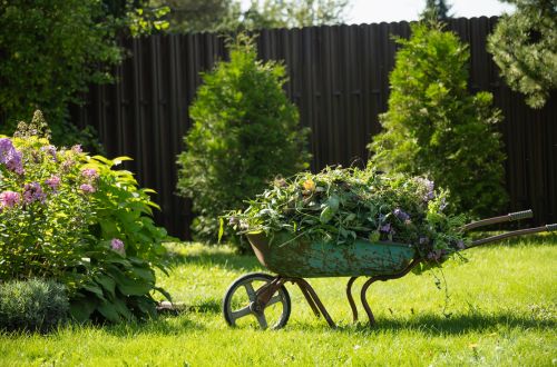 Seasonal landscape refresh with fresh mulch and plant bed cleanup in Pinellas County.