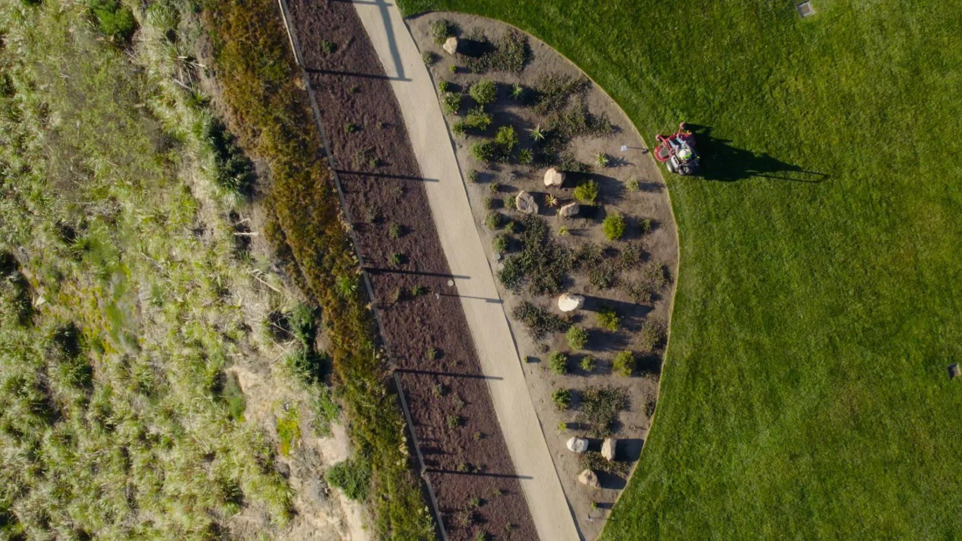 Cost comparison between DIY and professional landscaping showing budget versus quality results