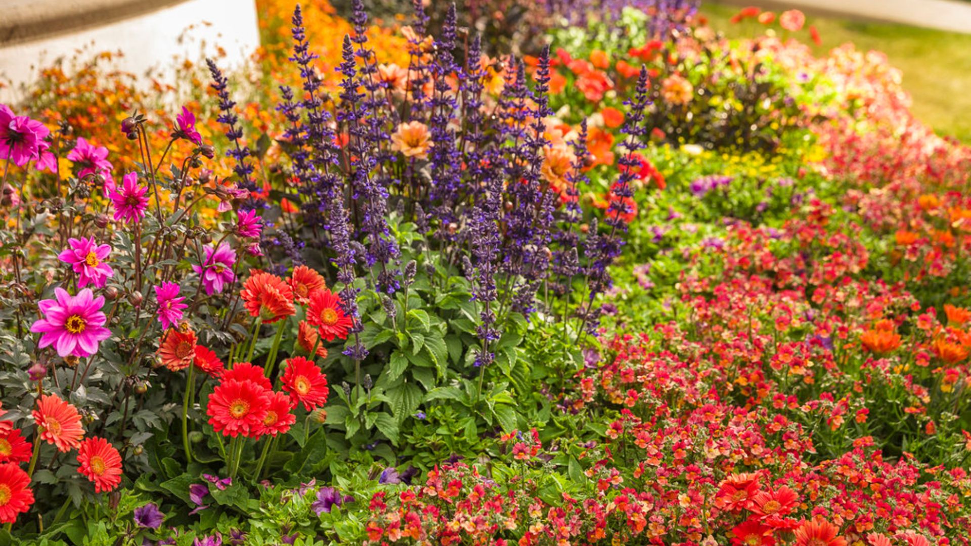 Layered landscape design with trees shrubs and groundcover for resilience