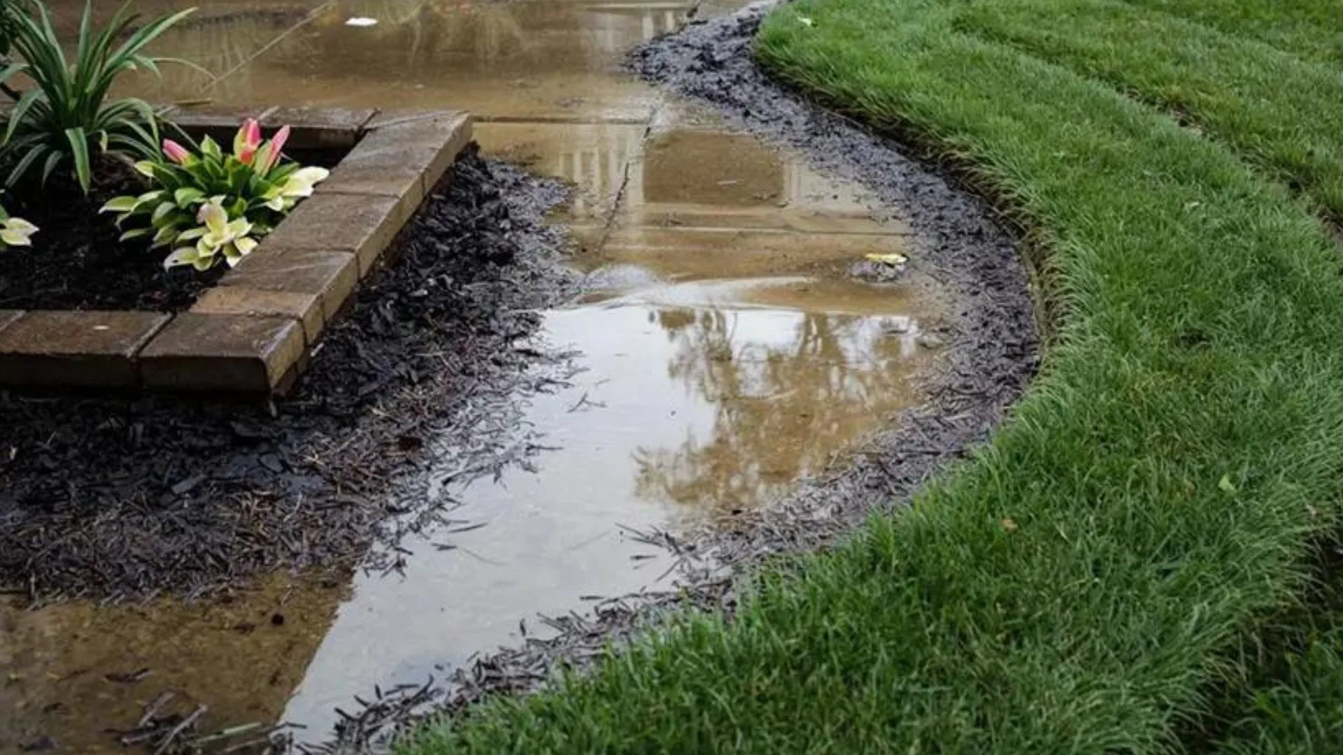 Landscape drainage problem showing water pooling in backyard due to poor yard design