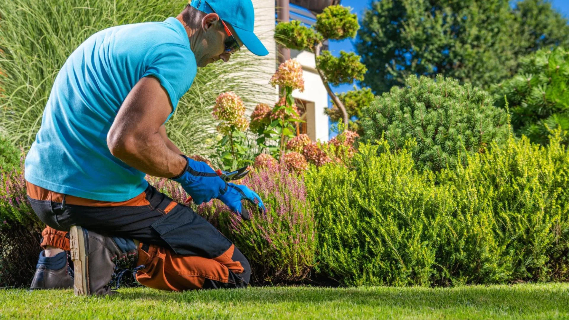 Comparison of DIY landscaping and professional landscape design showing tools and expert work