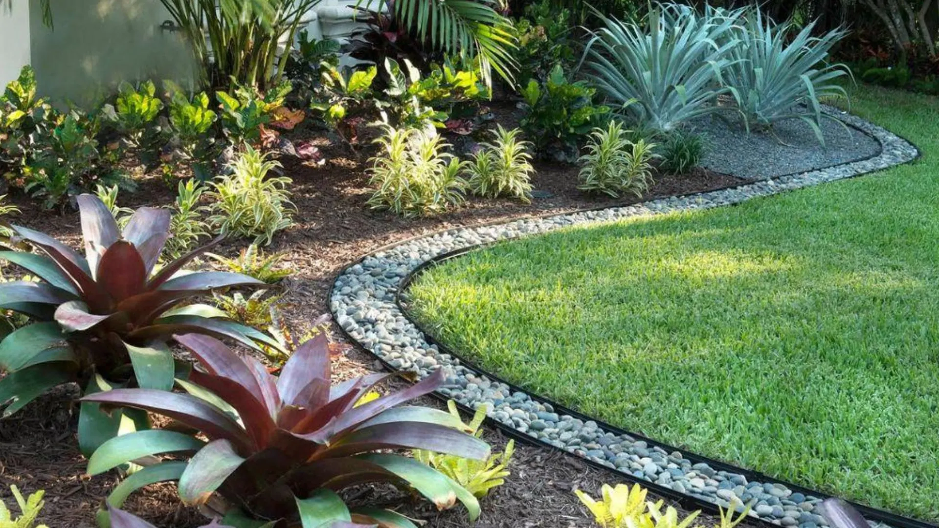 Florida friendly backyard plants including native species for low maintenance landscape design