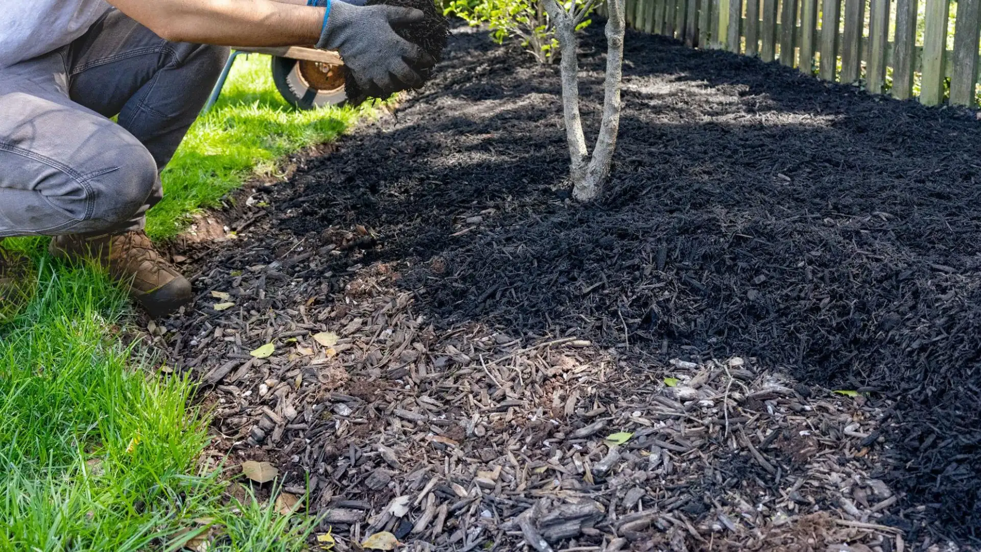 DIY landscaping showing homeowner planting shrubs and maintaining backyard garden