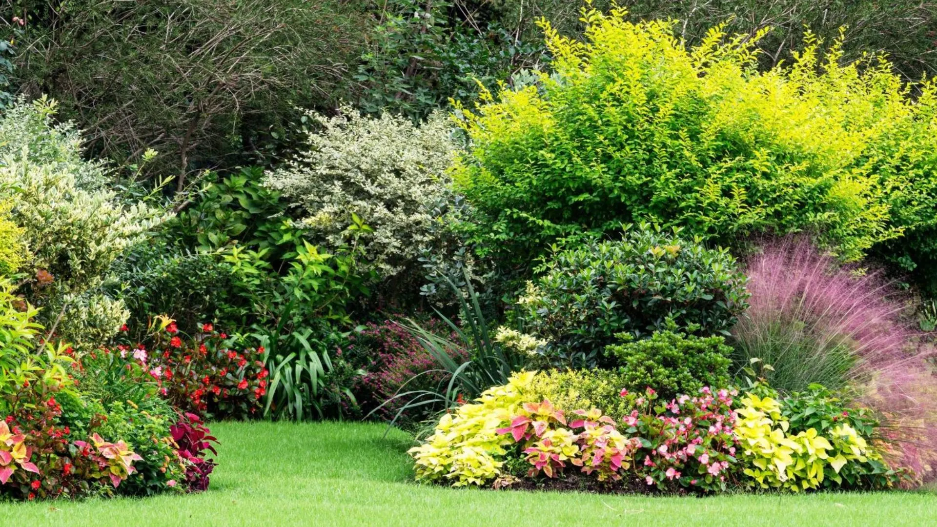 Overcrowded plants in landscaping causing poor growth, lack of airflow, and unhealthy garden