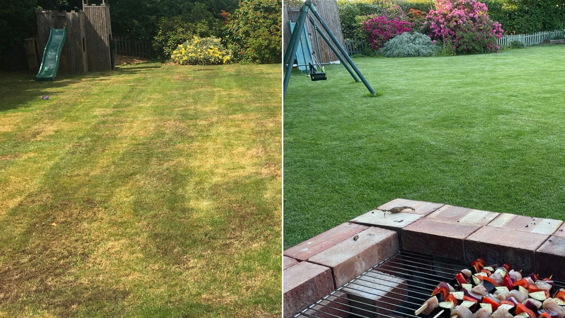 Failed landscaping with dry grass and struggling plants due to poor planning