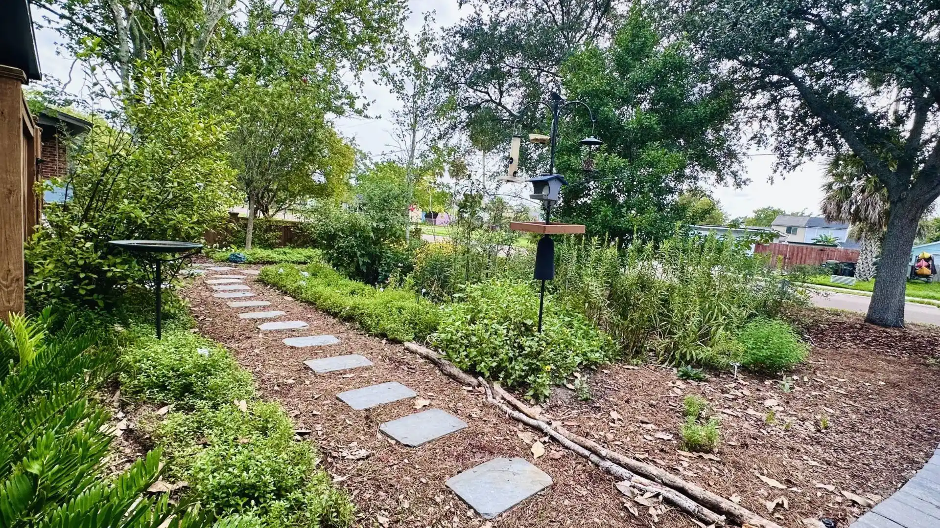 Florida friendly landscape plants used in backyard design for low maintenance and cost efficiency