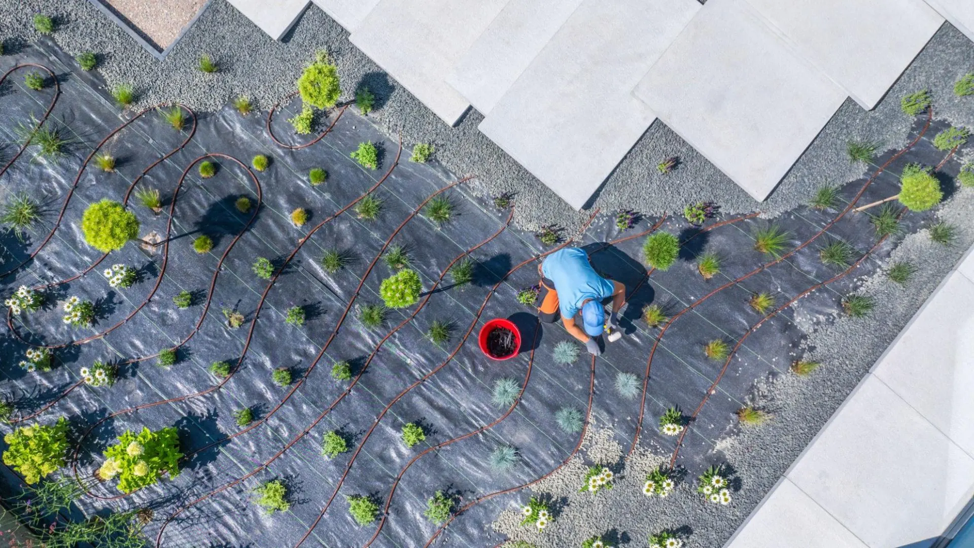Landscape installation phase showing workers building patio, planting, and setting up outdoor space
