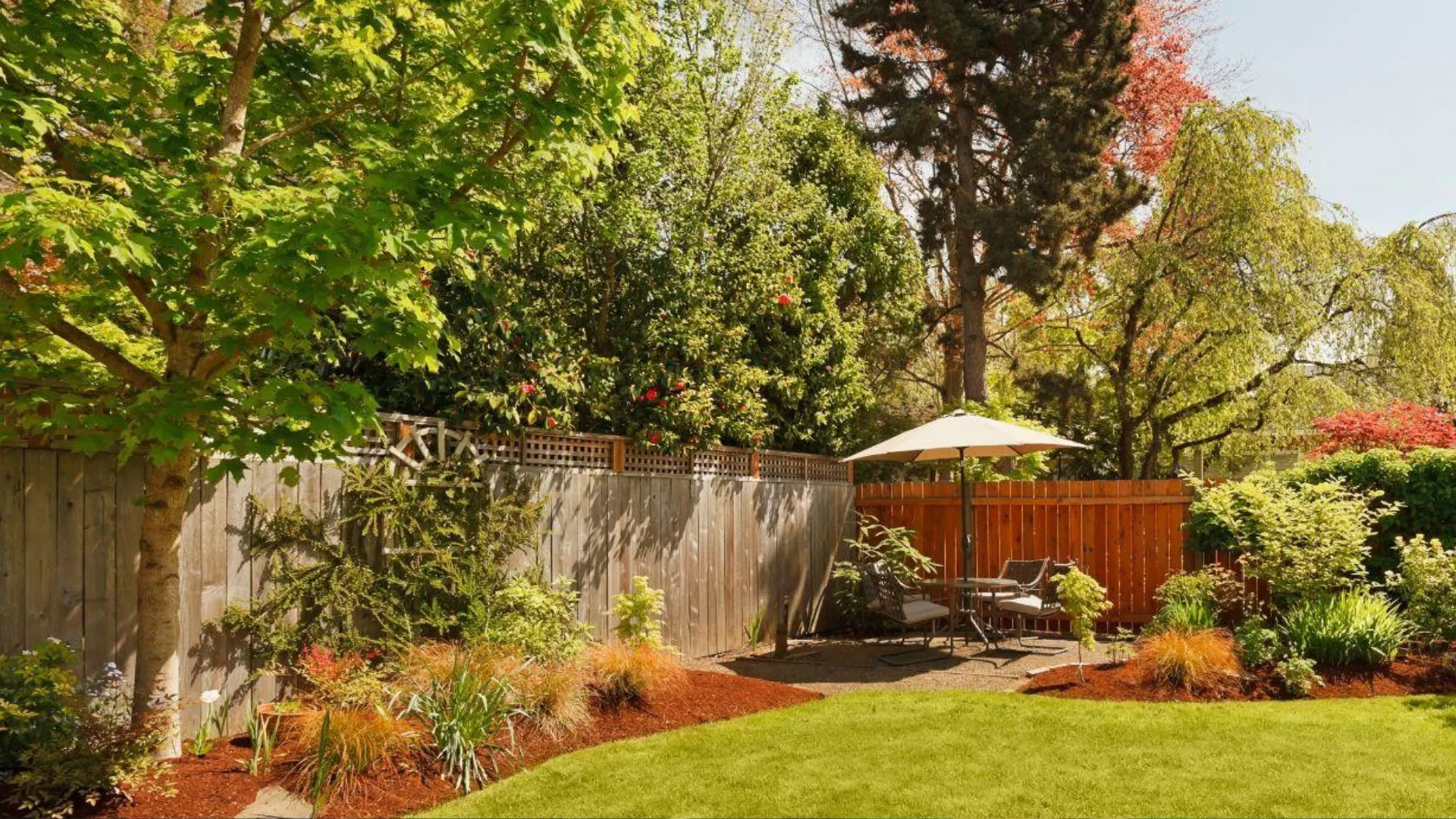 Landscape design cost in Pinellas County showing backyard transformation with plants, patio, and lighting