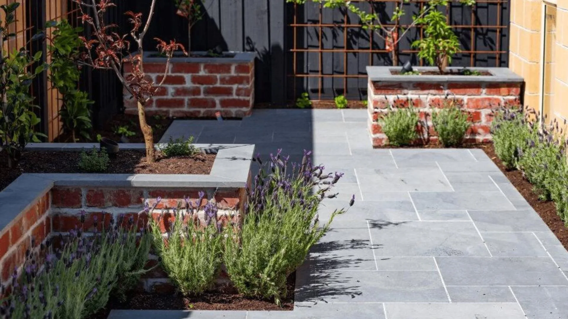 Landscape design mistakes showing overgrown plants, poor layout, and unhealthy backyard design